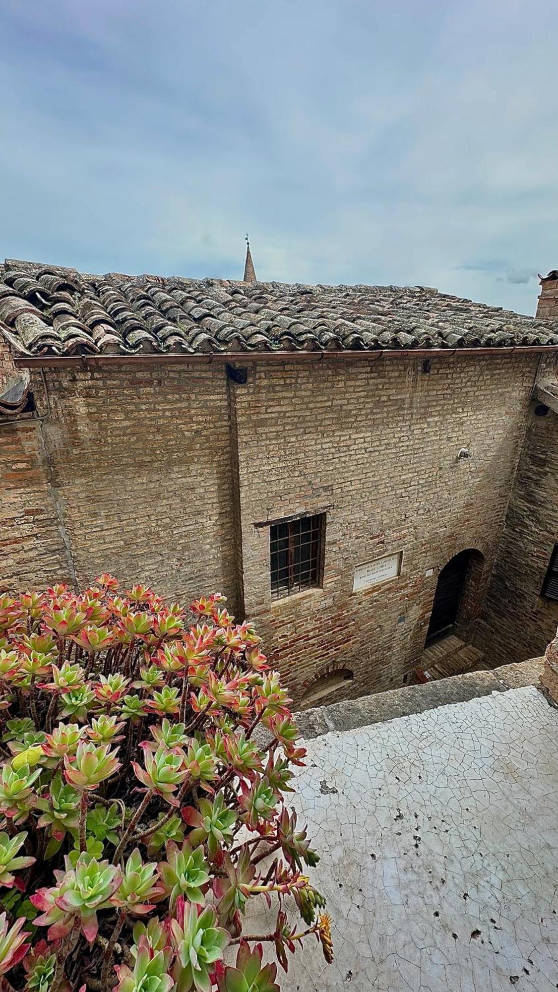 Albergo Hotel Raffaello Urbino Ngoại thất bức ảnh